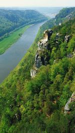 High angle view of trees and buildings