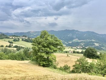 Scenic view of landscape against sky