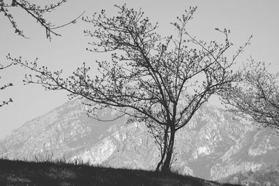 Scenic view of tree mountains against sky