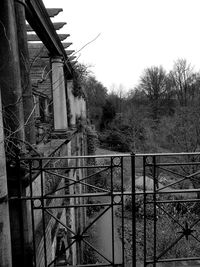 Fence by trees against sky