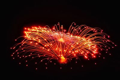 Firework display in sky at night