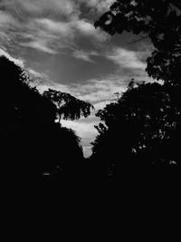 Silhouette trees in forest against sky