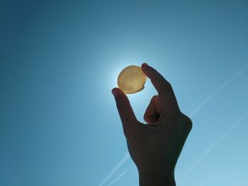 Cropped image of person holding seashell against clear blue sky