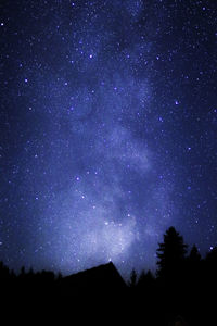 Low angle view of silhouette trees against star field at night