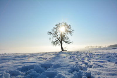 Scenic view of snow covered field against clear blue sky