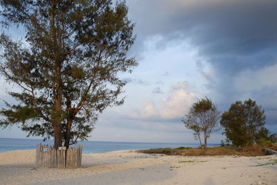 Scenic view of beach against sky