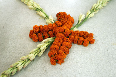 High angle view of orange leaf on plant