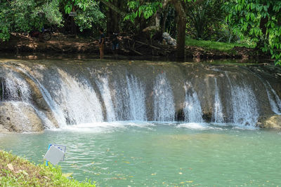 Scenic view of waterfall in forest