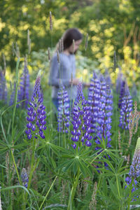 Close-up of purple flowers blooming in field