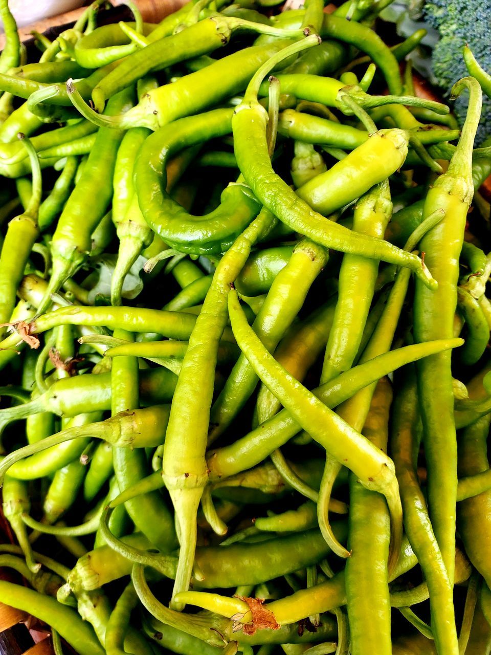 CLOSE-UP OF GREEN CHILI PEPPERS AT MARKET