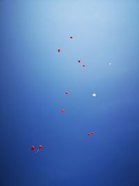 Low angle view of balloons flying against blue sky