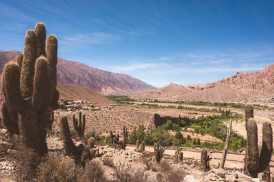 Scenic view of desert against blue sky