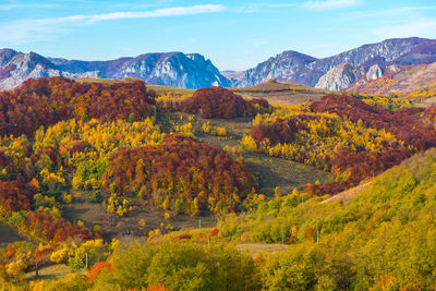 Scenic view of landscape against sky during autumn