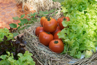 Close-up of tomatoes in basket