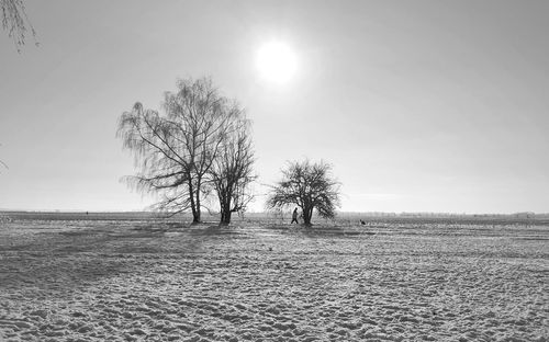 Trees on landscape against clear sky