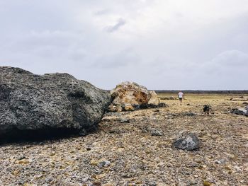 Rear view of man walking on land