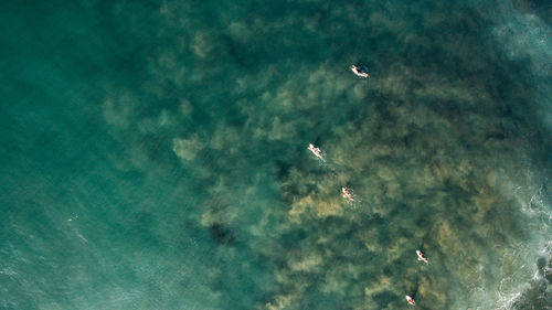 Aerial view of people surfing on sea