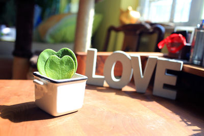 Close-up of potted plant on table with the love word block