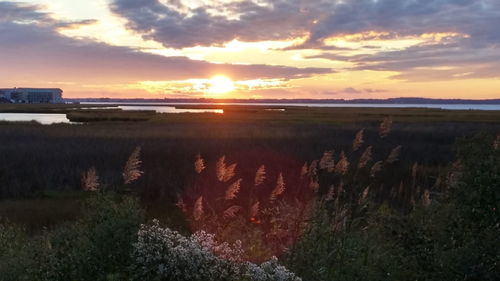 Scenic view of sunset over sea