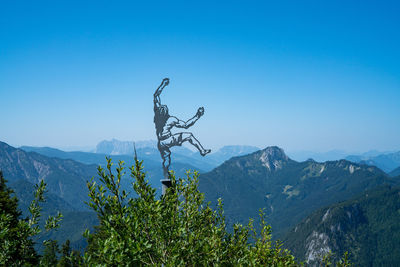 Plants and trees against clear blue sky