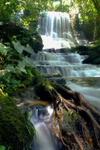 Scenic view of waterfall in forest