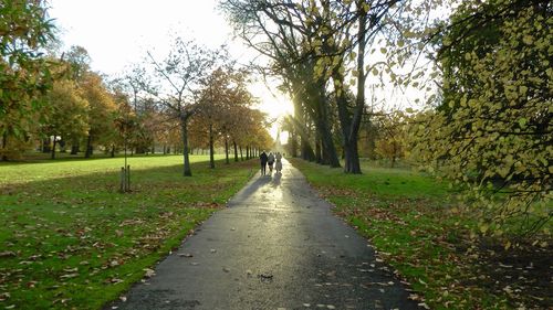 People walking on footpath amidst trees in park