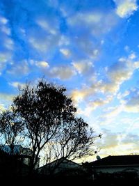 Low angle view of silhouette tree against sky