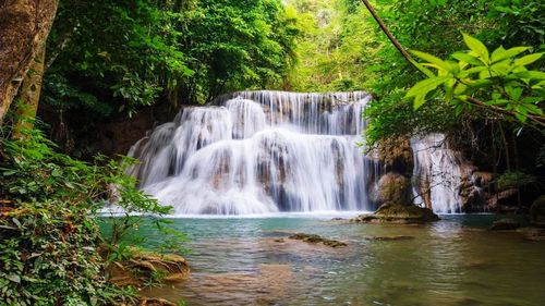 Scenic view of waterfall in forest