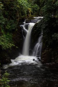 Scenic view of waterfall in forest