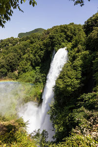 Scenic view of waterfall in forest against sky