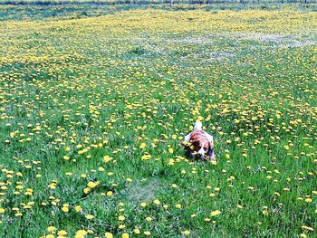 Side view of man walking on grassy field