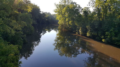 Reflection of trees in lake against sky