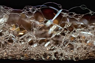 Close-up of water drops on spider web