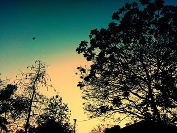 Low angle view of silhouette tree against sky at sunset