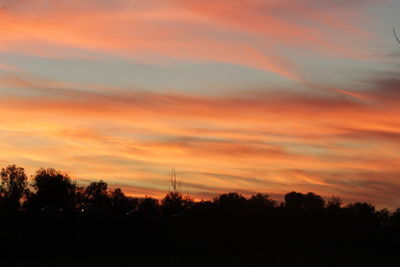 Silhouette of trees at sunset