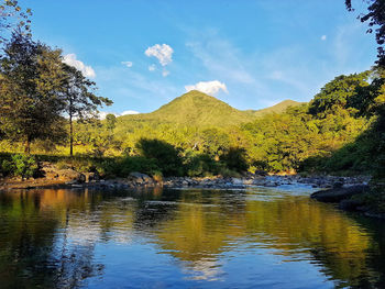 Scenic view of lake by trees against sky