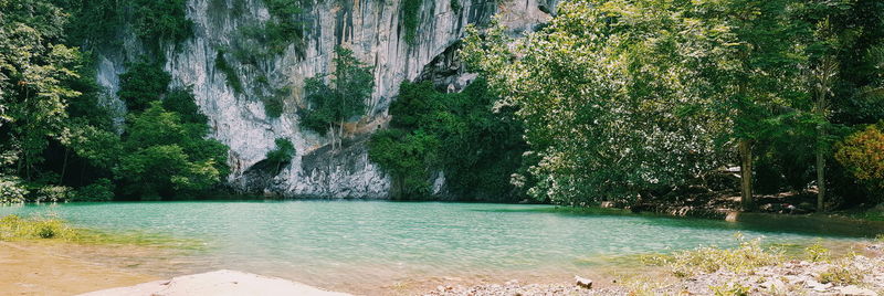 Scenic view of river by trees