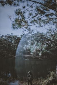 Man standing by trees against sky