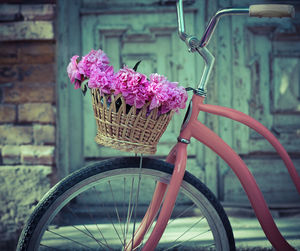 Close-up of pink flowering plant in basket