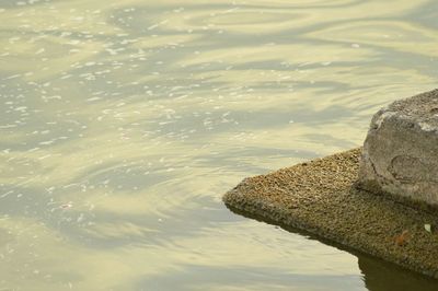 Close-up of water