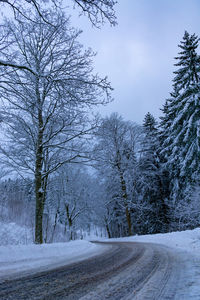 Road amidst snow covered trees against sky