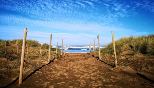 Scenic view of beach against blue sky