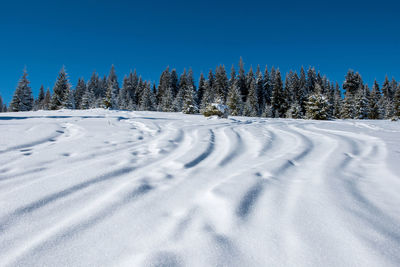 Snow covered land and trees against clear blue sky