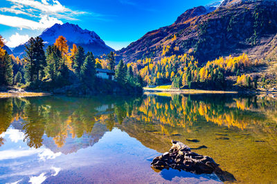 A view of the cavlocc lake, in engadine, switzerland, the mountains and autumn colours.
