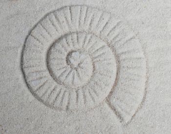 Full frame shot of spiral staircase