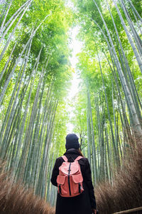 Rear view of woman with backpack standing in forest