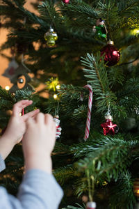 Close-up of hand holding christmas tree at night