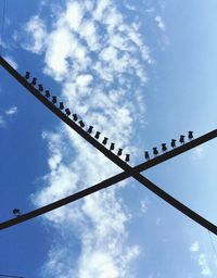 Low angle view of birds perching on power line against cloudy sky