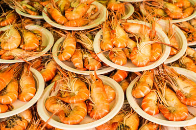 High angle view of seafood in market