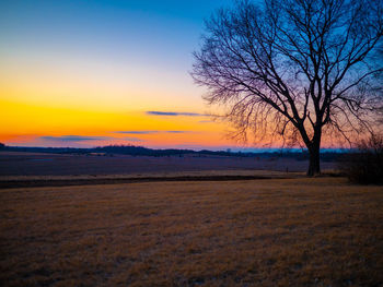 Silhouette bare tree on field against sky during sunset